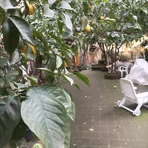 https://il-giardino-nascosto.hotels-amalfi.com